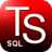 Program dla firm transportowych i spedycyjnych TS SQL
