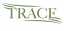Trace – zaufany Partner Biznesowy w Transporcie